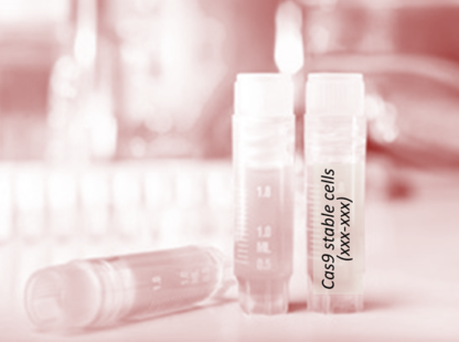 Cas9 Stable Cell Line (RM-1)
