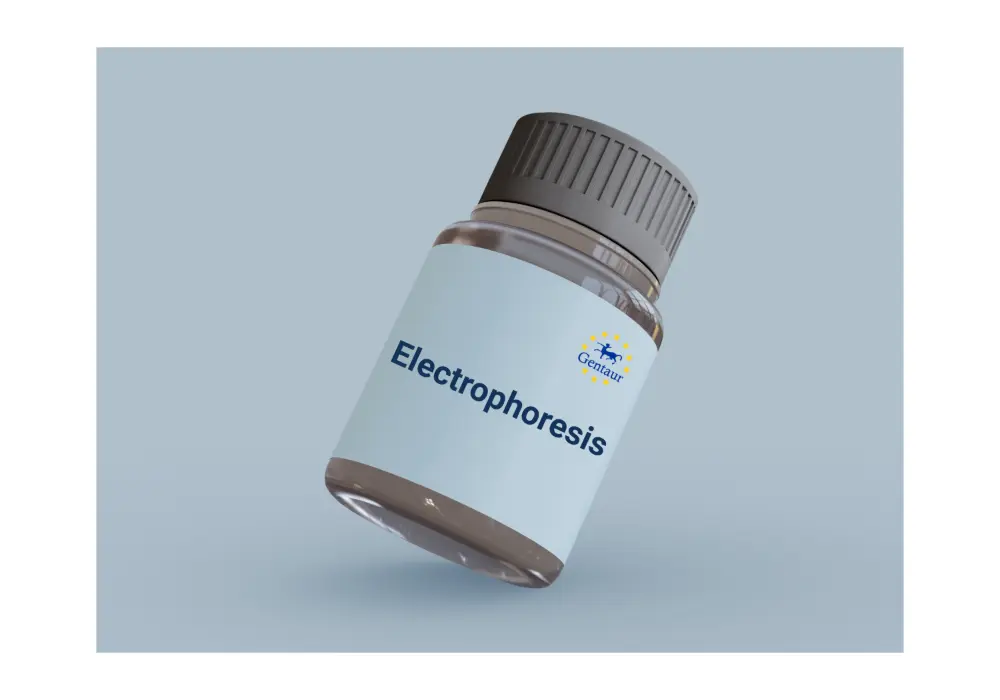  dna gel documentation system with uv white light and epi blue illumination and built in viewing screen