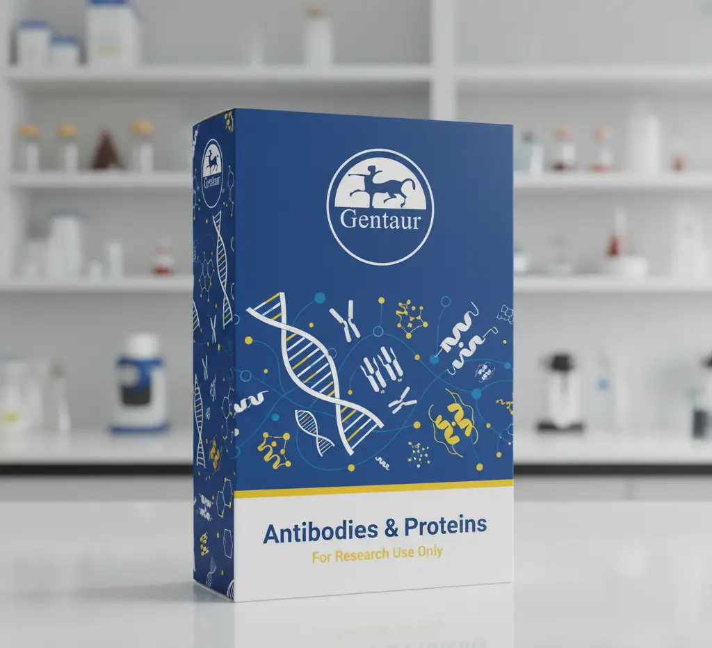 CD99 Clone TU12, Isotype IgG2a, 250nm magnetic beads