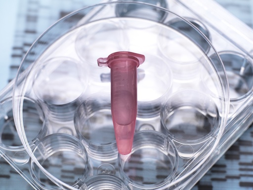 [GEN-BXP2102-GAS] pHTS-Neo-GAS