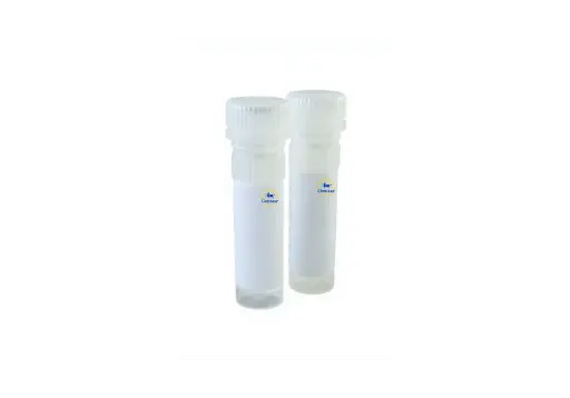 [GEN-ACC-PR2100-C-250]  qmax cdna synthesis kit 250 reactions