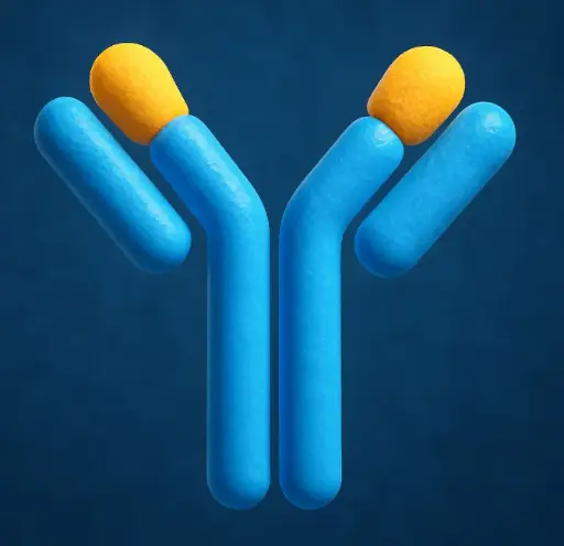 [ML-AS-1586] Mouse Anti-Human Ig lambda chain Antibody (AF594)